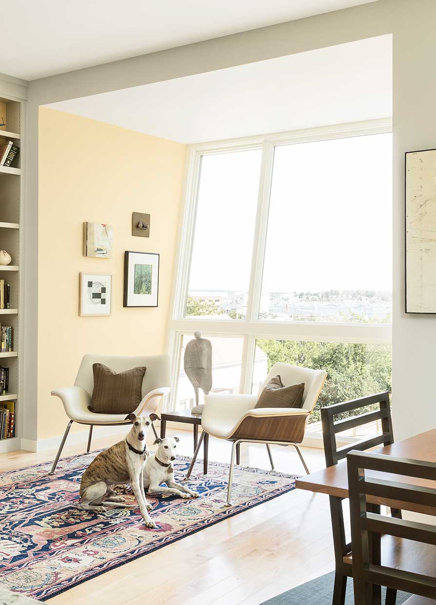 Harborview Townhomes