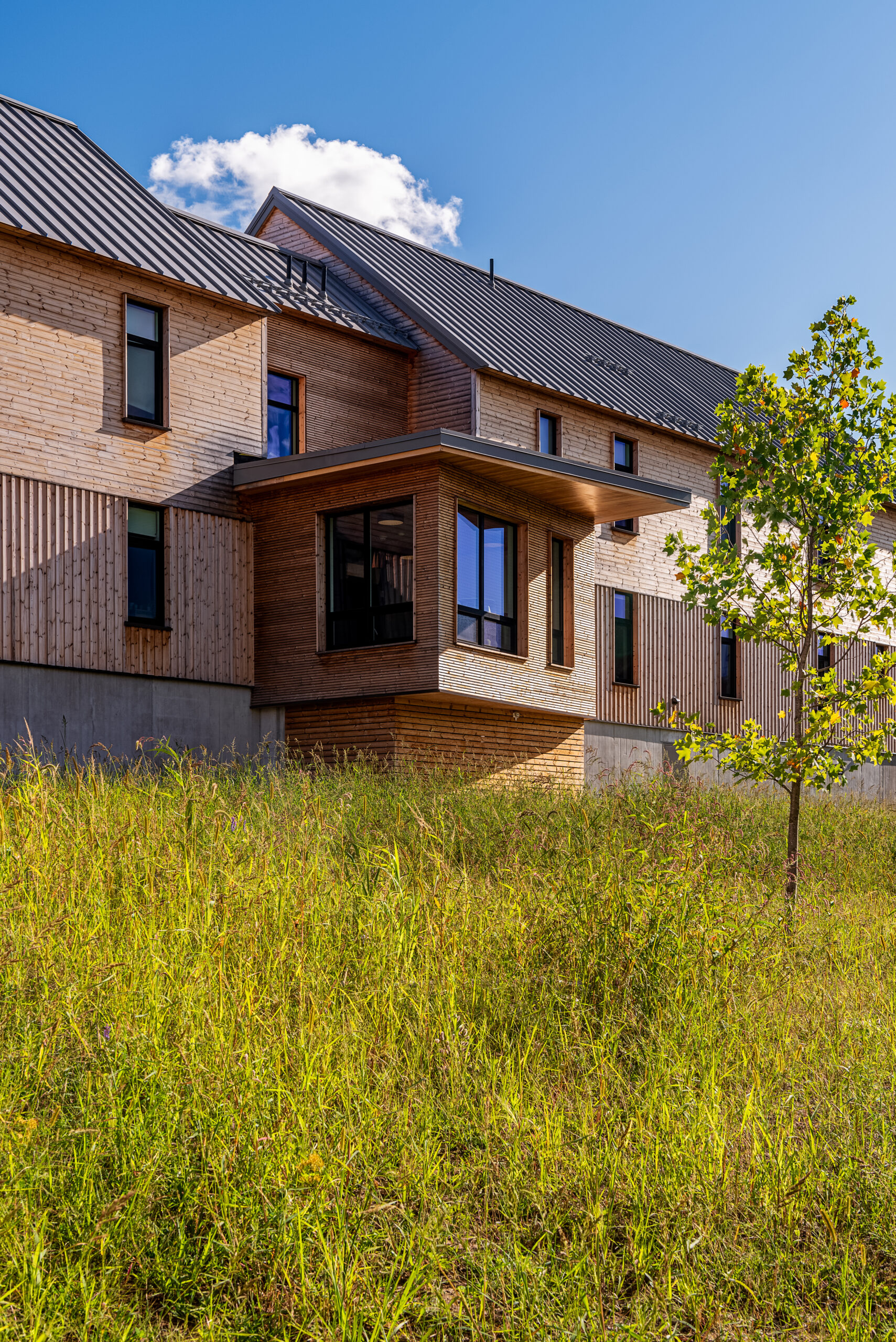 Colby College Dormitories